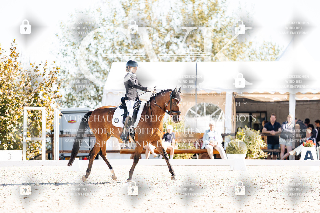 CK909228 | Turnierfotografie Pferdefotografie Trier Rheinland-Pfalz Pferdesport Reitsport Tierfotografie Sportfotografie Pferdevideo Pferdevideografie Equestrianvideography equestrianphotography  - Realisiert mit Pictrs.com