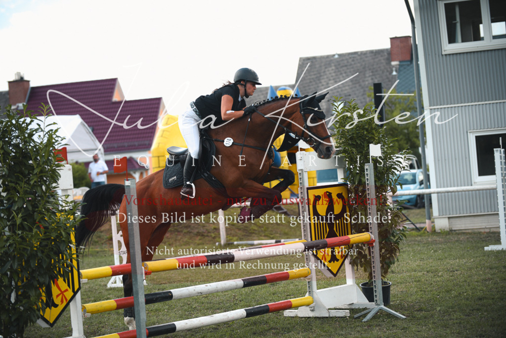 DSC_6692 | Pferde- und Turnierfotografie in Westsachsen. Pferdeportraits, Auftragszeichnungen und intuitive Kunst.