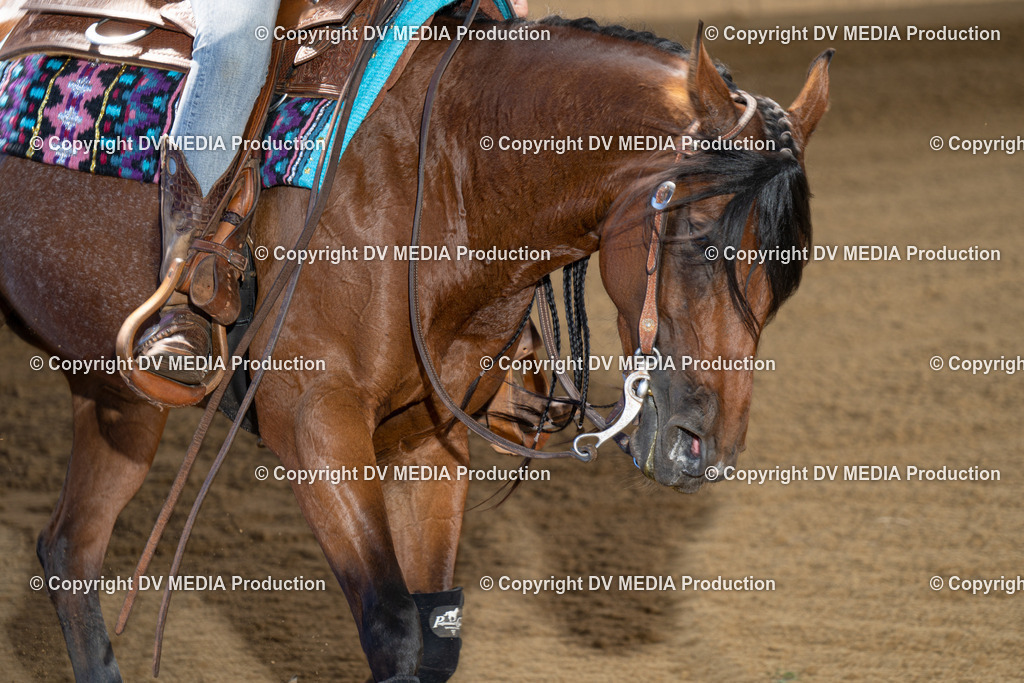 DSC00015 | dv-media-shop - Realisiert mit Pictrs.com