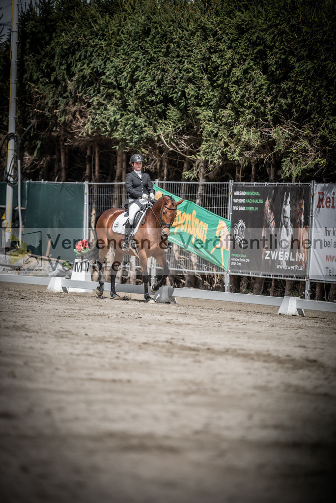 DSC_2349 | equestrian-live-com