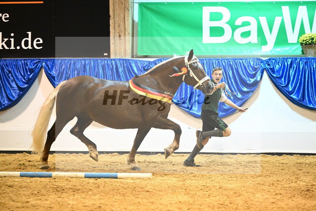 Kat-Nr. 85 Monarchin_Bachmair_53221492 | hf-fotografie - Realisiert mit Pictrs.com