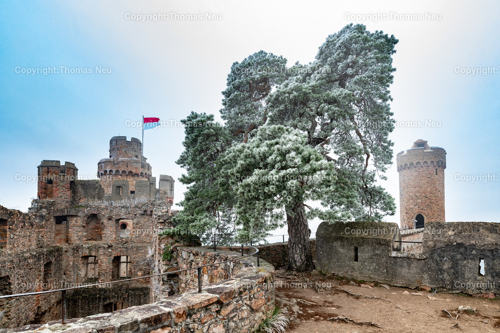 Winter-Schloss-Auerbach-Thomas_Neu_Fotografie-48 | Winterzauber auf Schloss Auerbach: Die historische Burgruine hoch über der Bergstraße zeigt sich im Schnee von ihrer beeindruckendsten Seite. Der Blick über die Rheinebene, der mächtige Wehrturm und die markante Schwarzkiefer machen das Schloss zu einem der schönsten Wintermotive im Odenwald. Entdecken Sie die faszinierende Kombination aus Geschichte, Natur und einzigartiger Winteratmosphäre., Bild: Thomas Neu