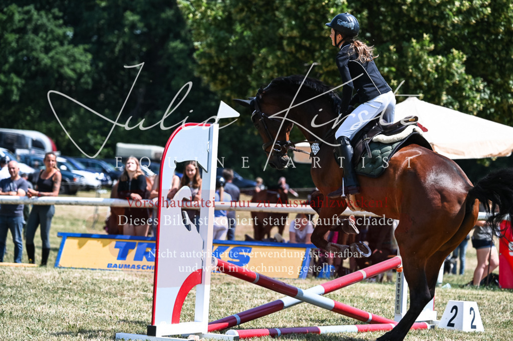 DSC_9859 | Pferde- und Turnierfotografie in Westsachsen. Pferdeportraits, Auftragszeichnungen und intuitive Kunst.