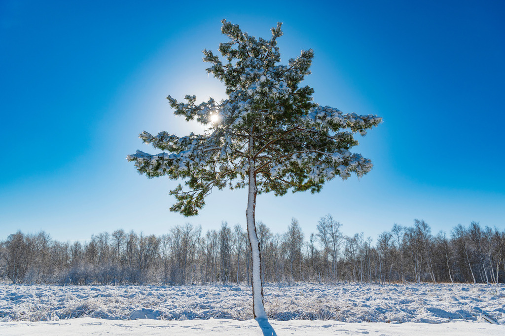 2023_03_11_MCP7309 | Hochwertig gedruckte Fotografien für die Wand, als Kalender und zum Verschenken. Hamburg & Norddeutschland und überall wo ich mit der Kamera unterwegs war.