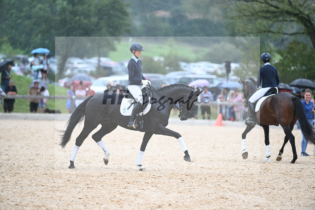 Sparten des Reitsports aus der eigenen Zucht_36240952 | hf-fotografie - Realisiert mit Pictrs.com