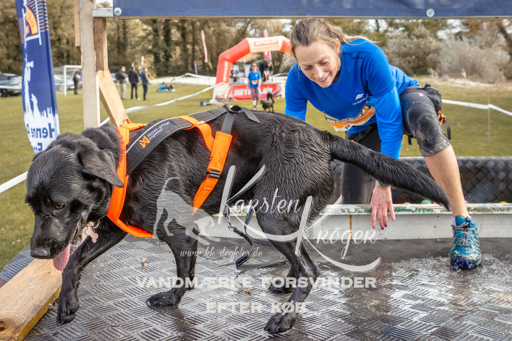 1358_ZZ93038-2 | kk-dogfotos