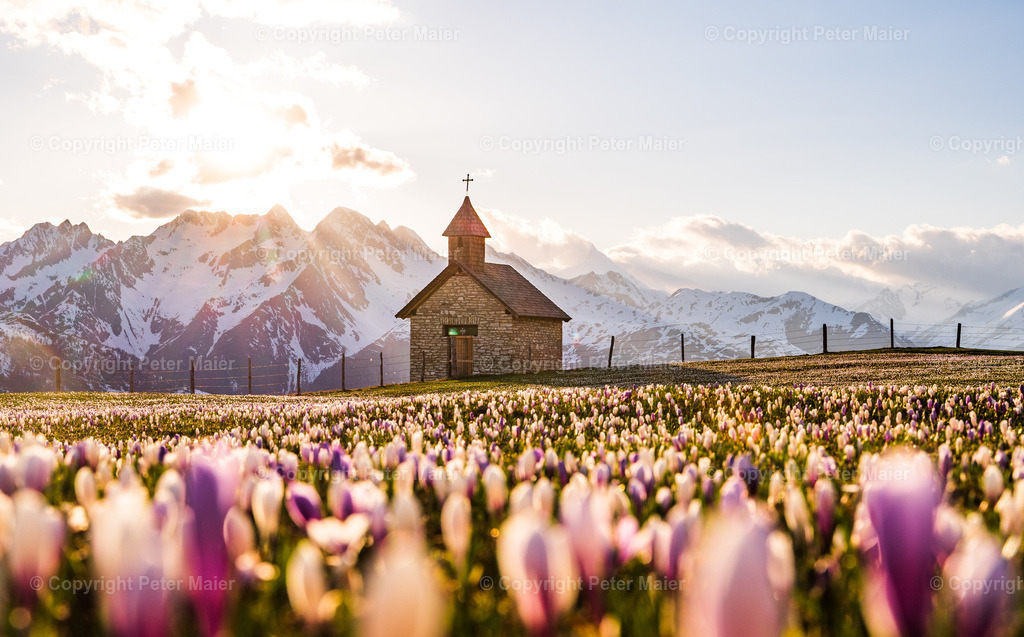 Glocknerblick-624 | piet_flosse