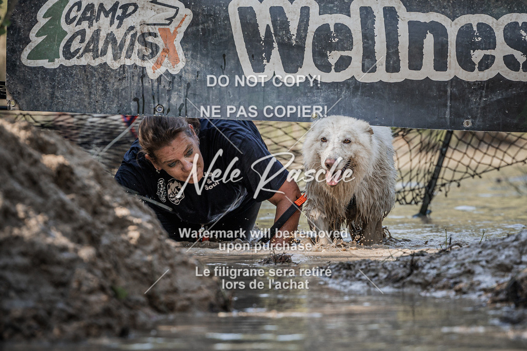 nelerasche_Hoope2026_So1600-1630_375 | nelerasche