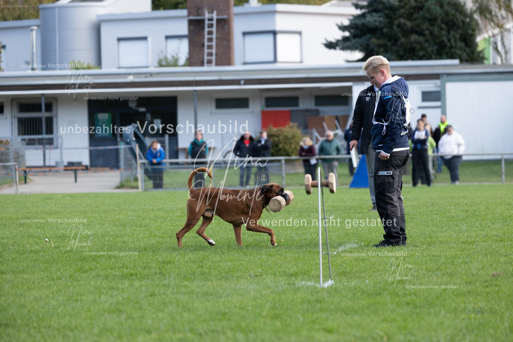 _16A6759 | Einzigartige Fotos von Hunden & Menschen –Actionfotos, Portraits, Vereinsaufnahmen & Paarshootings – authentisch, lebendig & mit Herz.