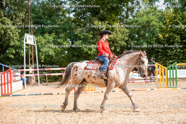 ZS2_7624 | dv-media-shop - Realized with Pictrs.com