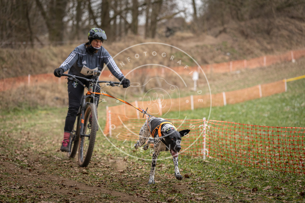 Pfotenfotografie_DV3A6789 | Hundefotografie, Tierfotograf, Pfotenfotografie, Fotoshooting Hund, Hunde Portrait, Hundesport, Hundeportraits, Heideshooting, Hunde, Sportfotograf, Hundefotograf, Turnierhundsport, THS,  - Realisiert mit Pictrs.com