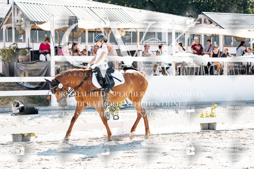 CK903298 | Turnierfotografie Pferdefotografie Trier Rheinland-Pfalz Pferdesport Reitsport Tierfotografie Sportfotografie Pferdevideo Pferdevideografie Equestrianvideography equestrianphotography  - Realisiert mit Pictrs.com