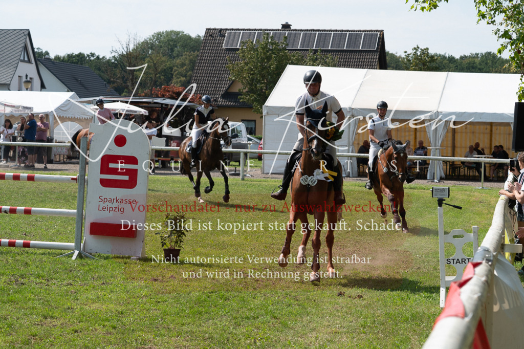 DSC_0708 | Pferde- und Turnierfotografie in Westsachsen. Pferdeportraits, Auftragszeichnungen und intuitive Kunst.