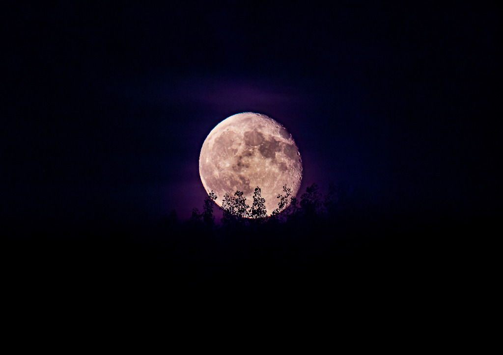 MPI_Nachtaufnahmen_0007 | Vollmond mit Vordergrund - Realisiert mit Pictrs.com