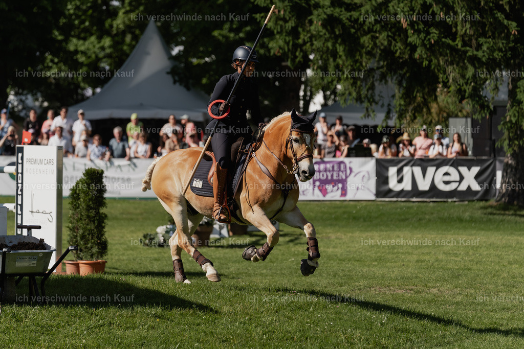 SIN00875 | Pferd International München 2025