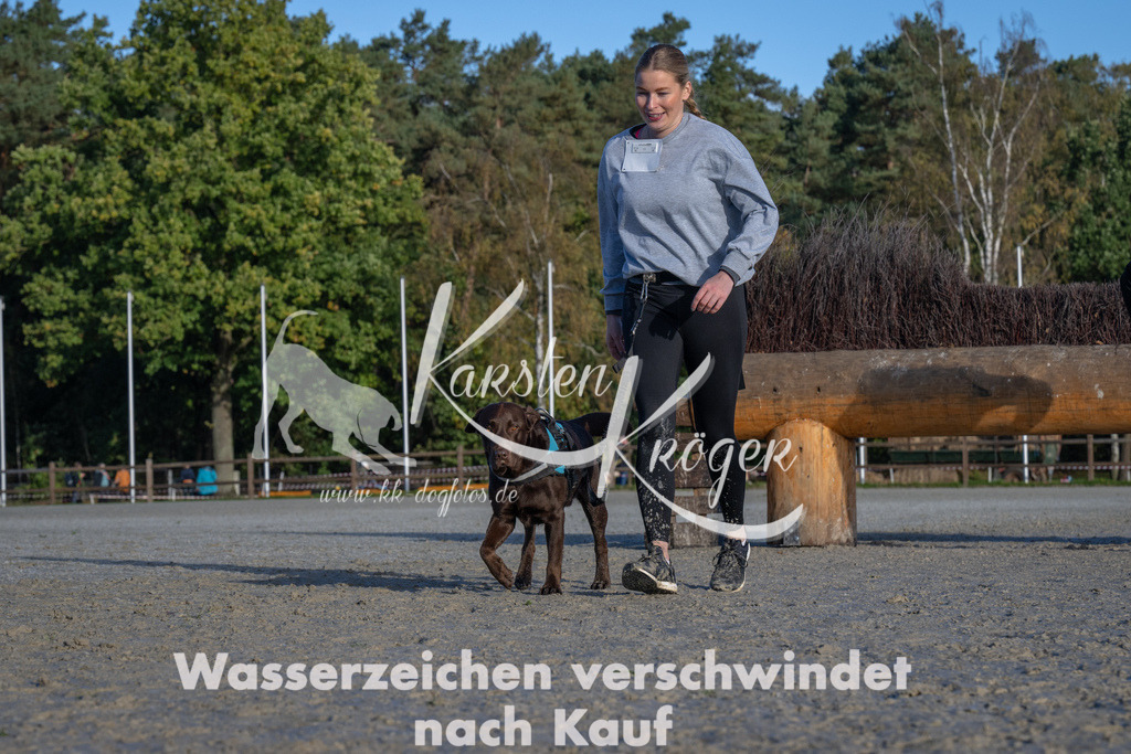 1003-_ZZ90210 | kk-dogfotos
