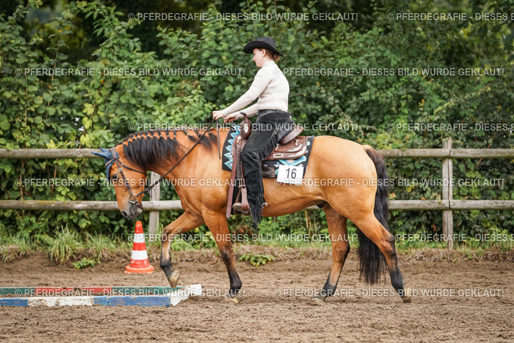 DSC04447 | Pferdegrafie