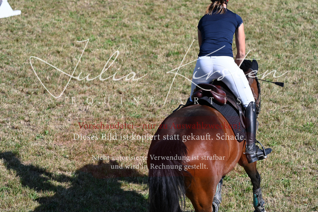 DSC_2043 | Pferde- und Turnierfotografie in Westsachsen. Pferdeportraits, Auftragszeichnungen und intuitive Kunst.