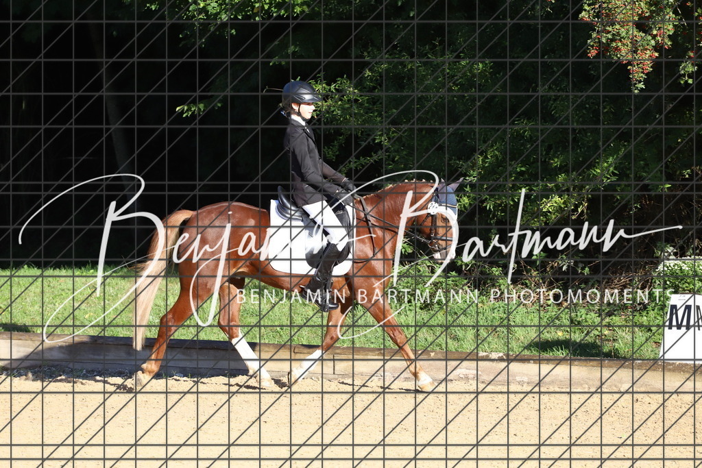 IMG_4741 | Benjamin Bartmann Photomoments