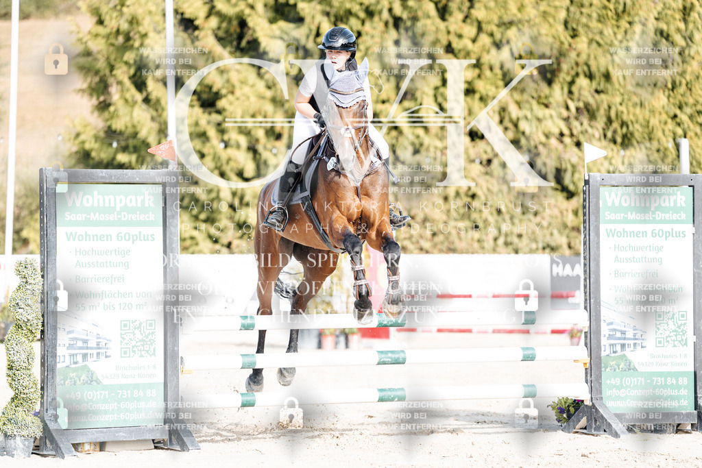 CK909413 | Turnierfotografie Pferdefotografie Trier Rheinland-Pfalz Pferdesport Reitsport Tierfotografie Sportfotografie Pferdevideo Pferdevideografie Equestrianvideography equestrianphotography  - Realisiert mit Pictrs.com