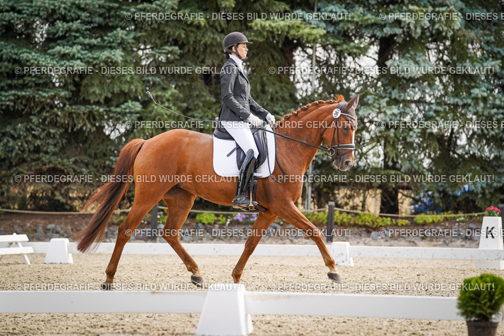 DSC08314 | Pferdegrafie