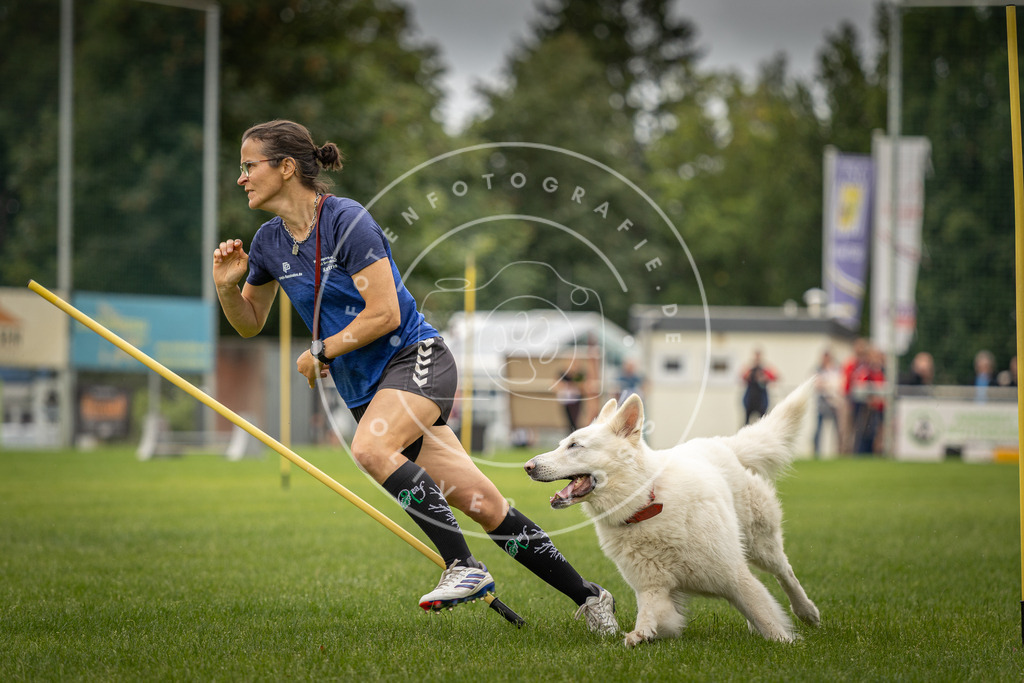 Pfotenfotografie_DV3A7959 | Hundefotografie, Tierfotograf, Pfotenfotografie, Fotoshooting Hund, Hunde Portrait, Hundesport, Hundeportraits, Heideshooting, Hunde, Sportfotograf, Hundefotograf, Turnierhundsport, THS,  - Realisiert mit Pictrs.com