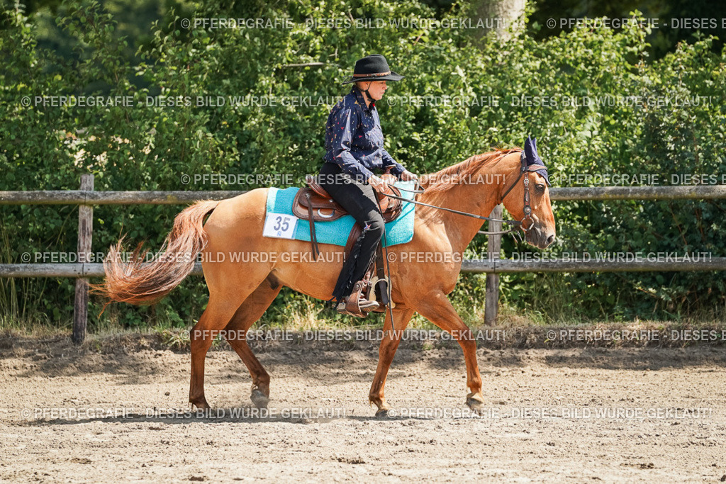 DSC06828 | Pferdegrafie