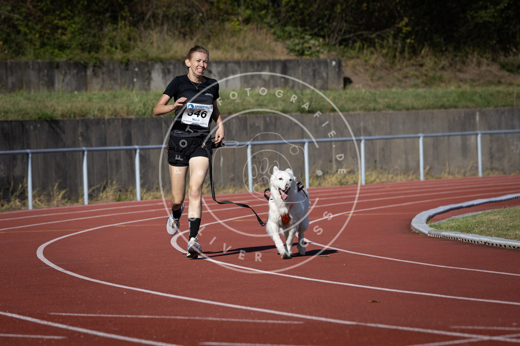 Pfotenfotografie_DV3A8840 | Hundefotografie, Tierfotograf, Pfotenfotografie, Fotoshooting Hund, Hunde Portrait, Hundesport, Hundeportraits, Heideshooting, Hunde, Sportfotograf, Hundefotograf, Turnierhundsport, THS,  - Realisiert mit Pictrs.com