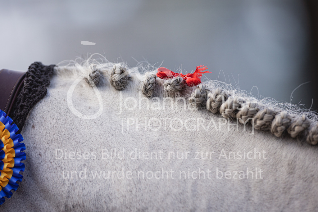 220925_Lanaken_5y-151 | Deine schönsten Turniermomente als professionelle Fotos! Entdecke hochwertige Pferdesport-Fotografie im Online-Shop. Jetzt Fotos finden & bestellen!