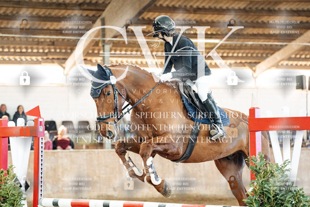 CK904093 | Turnierfotografie Pferdefotografie Trier Rheinland-Pfalz Pferdesport Reitsport Tierfotografie Sportfotografie Pferdevideo Pferdevideografie Equestrianvideography equestrianphotography  - Realisiert mit Pictrs.com