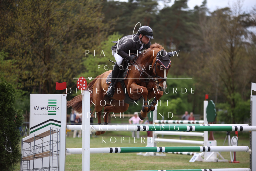 IMGT1672 | pl-fotografie