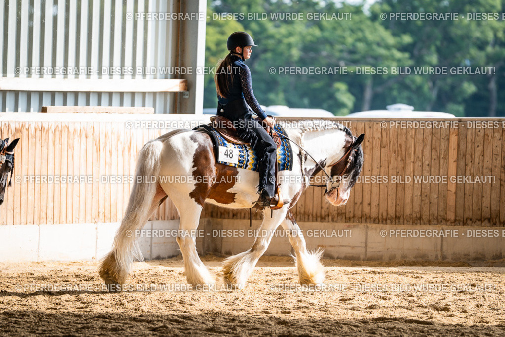 DSC08194 | Pferdegrafie