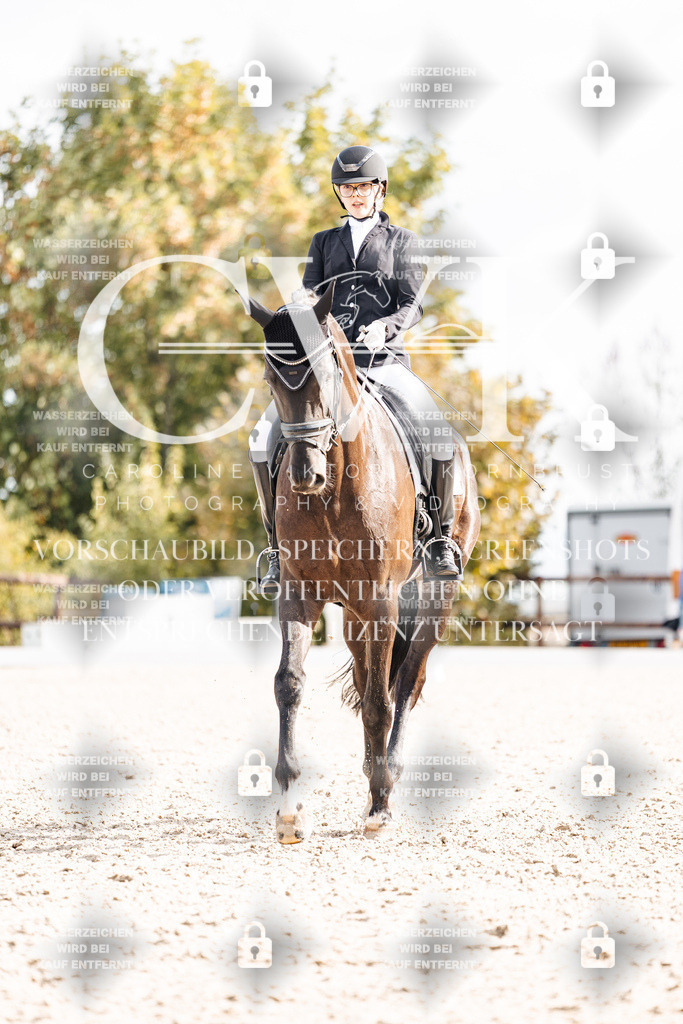 CK901804 | Turnierfotografie Pferdefotografie Trier Rheinland-Pfalz Pferdesport Reitsport Tierfotografie Sportfotografie Pferdevideo Pferdevideografie Equestrianvideography equestrianphotography  - Realisiert mit Pictrs.com
