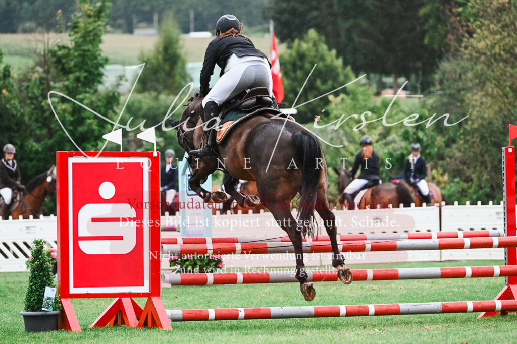 DSC_6456 | Pferde- und Turnierfotografie in Westsachsen. Pferdeportraits, Auftragszeichnungen und intuitive Kunst.