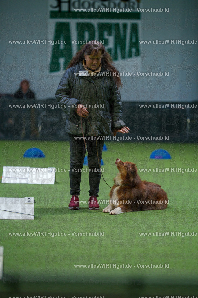 7R501187 | Professionelle Tierfotografie in Mönchengladbach von Daniel Wirth (allesWIRTHgut). Liebevolle & natürliche Bilder von Hunden & Katzen für unvergessliche Erinnerungen.