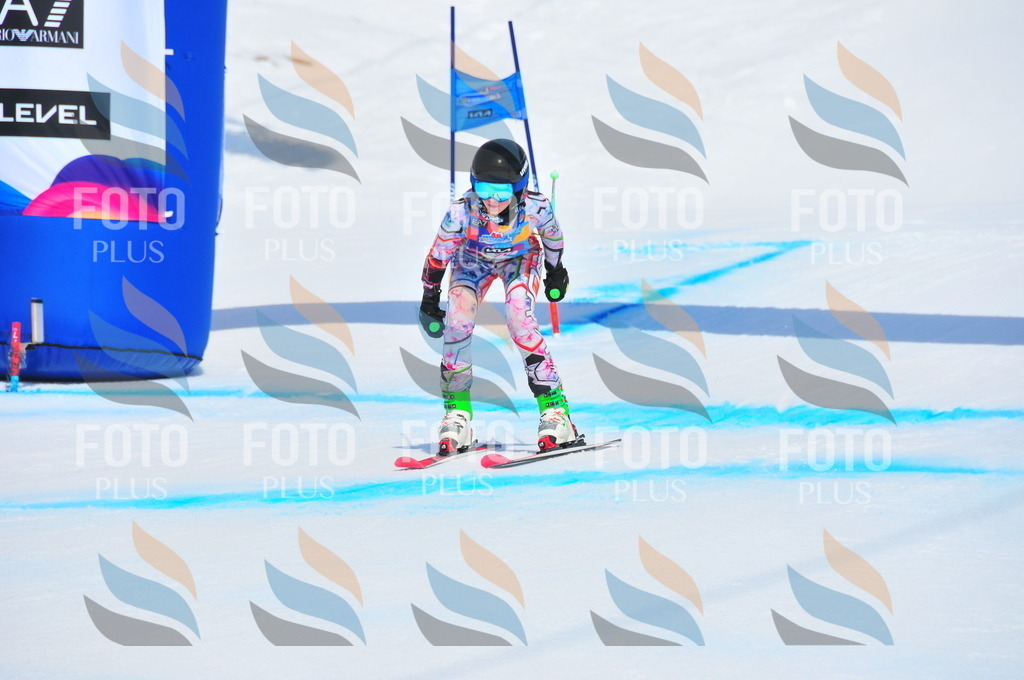 DSC_5260 | holidayphoto