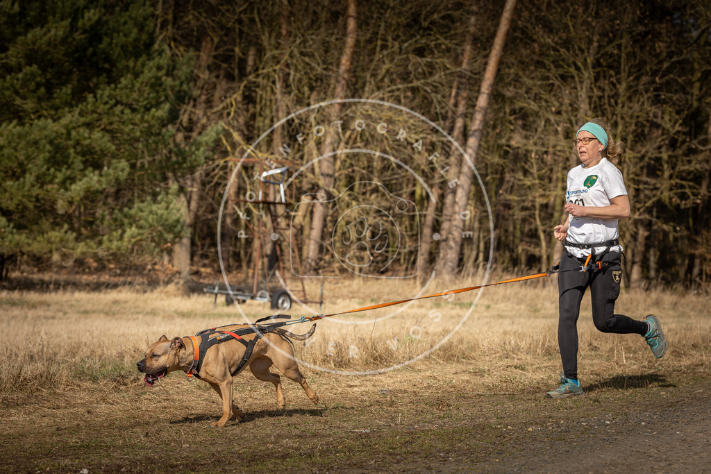 DV3A5965 | Hundefotografie, Tierfotograf, Pfotenfotografie, Fotoshooting Hund, Hunde Portrait, Hundesport, Hundeportraits, Heideshooting, Hunde, Sportfotograf, Hundefotograf, Turnierhundsport, THS,  - Realisiert mit Pictrs.com