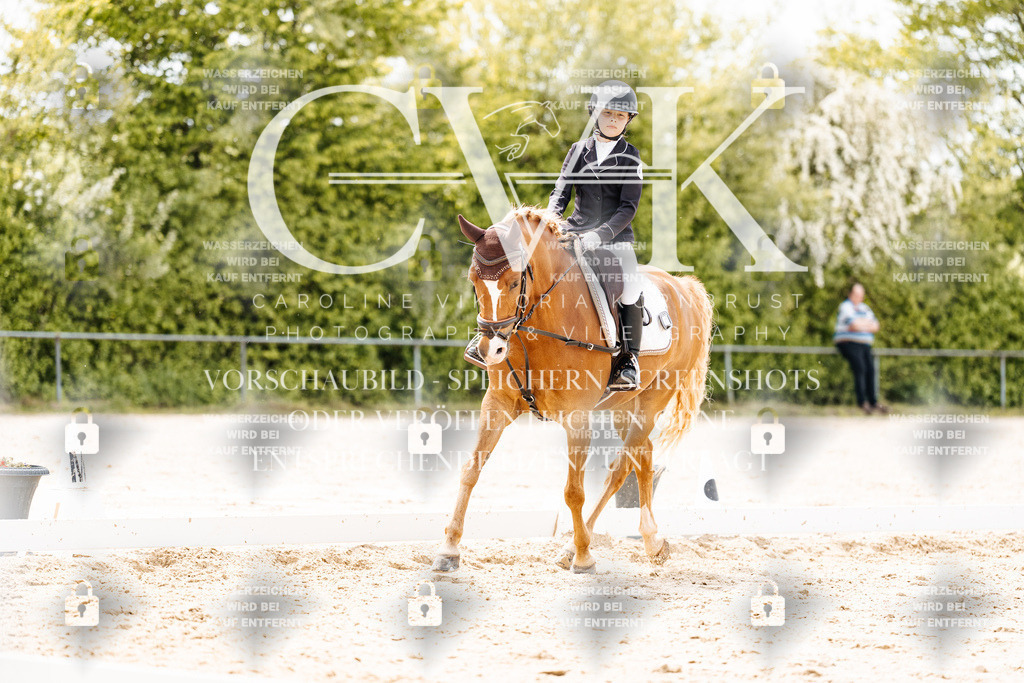 CK902514 | Turnierfotografie Pferdefotografie Trier Rheinland-Pfalz Pferdesport Reitsport Tierfotografie Sportfotografie Pferdevideo Pferdevideografie Equestrianvideography equestrianphotography  - Realisiert mit Pictrs.com