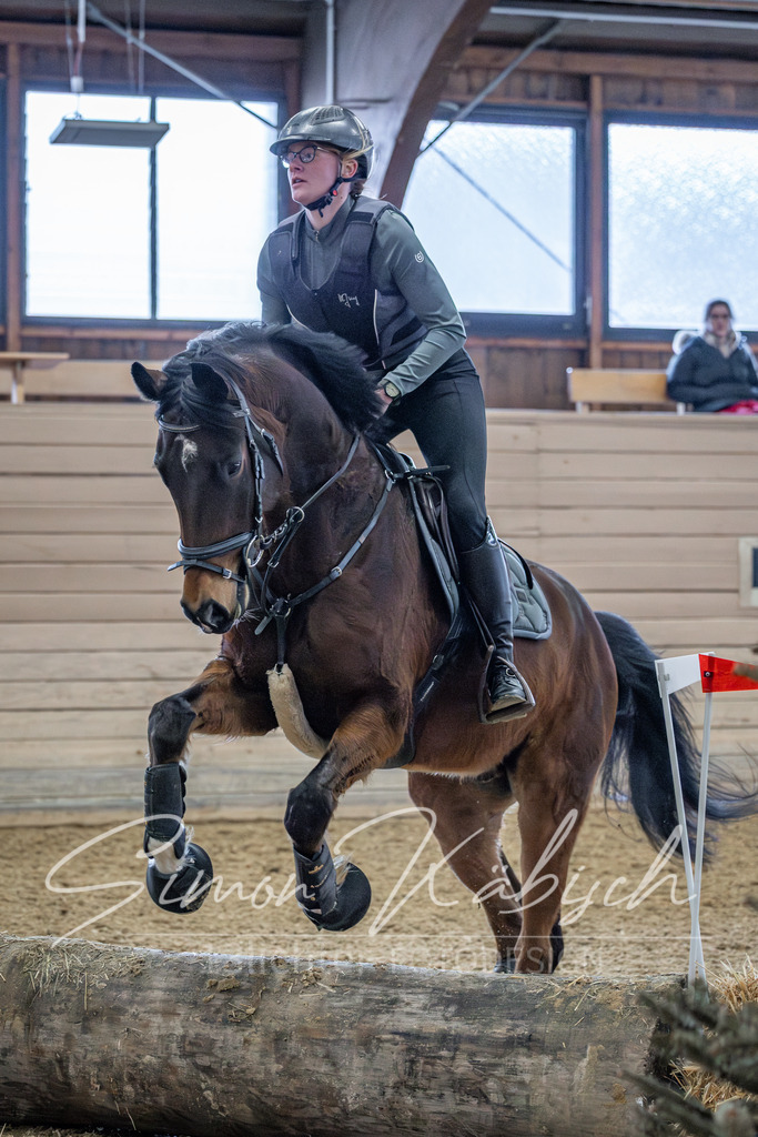 20260221-_3LI9983 | Tierfotografie Pferde, Hunde, Katzen, Haustiere.
Turnierfotografie Reitturniere, Reiten, Springreiten, Dressur in Hanau, dem Main-Kinzig-Kreis und dem Rhein-Main- Gebiet um Frankfurt