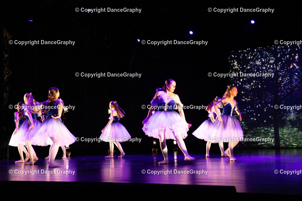 GPHY4362 | DanceGraphy - Realisiert mit Pictrs.com