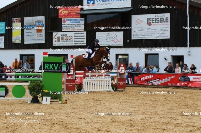 OHT1891 | Fotografie, Tiere, Hunde, Katzen, Pferde, Sportfotografie, Fotosession, Tierfotografie, Turnierfotografie, Fotografin, Fotograf - Realisiert mit Pictrs.com