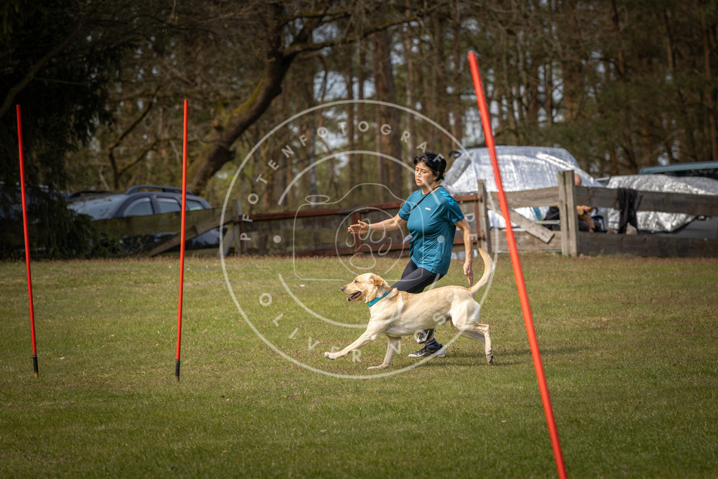 Pfotenfotografie_DV3A7244 | Hundefotografie, Tierfotograf, Pfotenfotografie, Fotoshooting Hund, Hunde Portrait, Hundesport, Hundeportraits, Heideshooting, Hunde, Sportfotograf, Hundefotograf, Turnierhundsport, THS,  - Realisiert mit Pictrs.com