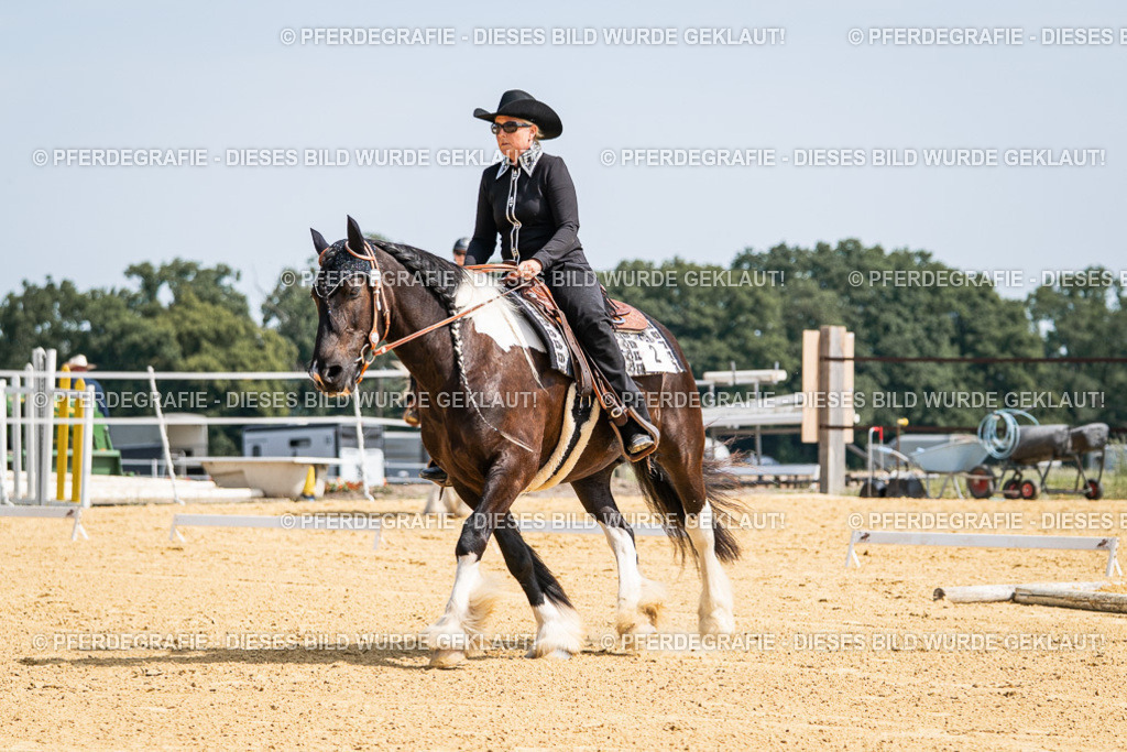 DSC00223 | Pferdegrafie