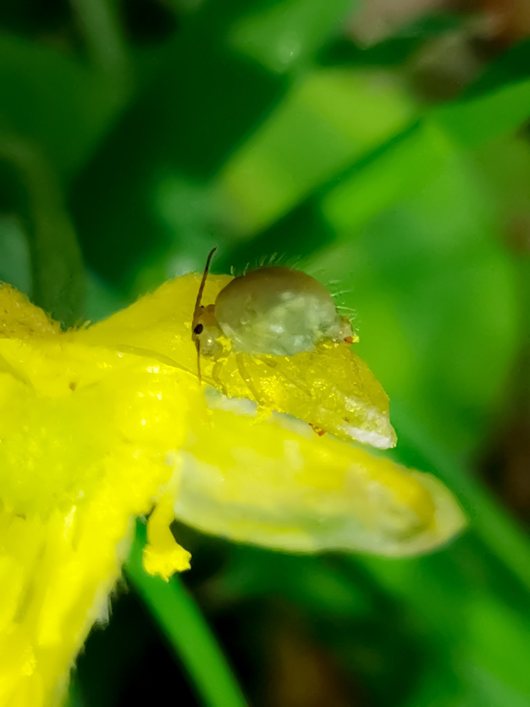 PSX_20230517_221900 | mtkfoto_ - Realisiert mit Pictrs.com