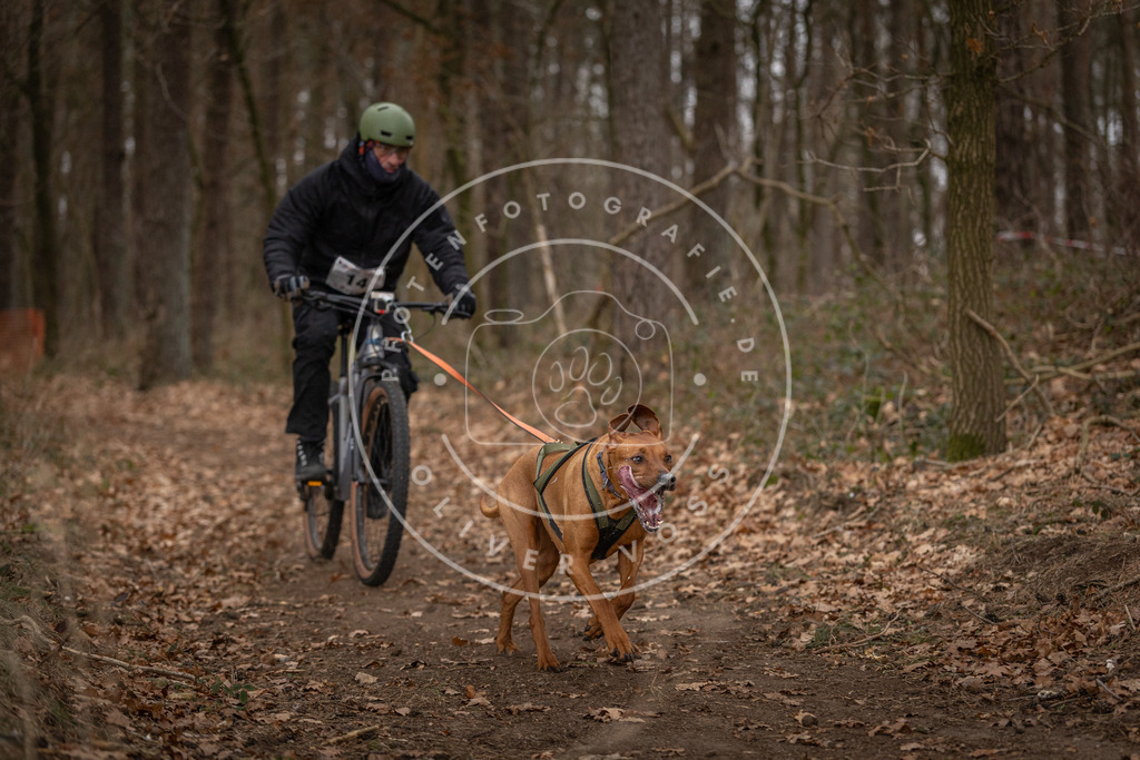Pfotenfotografie_DV3A7052 | Hundefotografie, Tierfotograf, Pfotenfotografie, Fotoshooting Hund, Hunde Portrait, Hundesport, Hundeportraits, Heideshooting, Hunde, Sportfotograf, Hundefotograf, Turnierhundsport, THS,  - Realisiert mit Pictrs.com