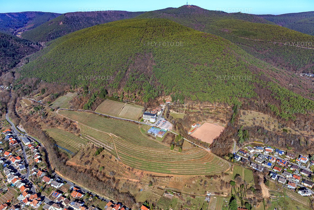 Luftbild: Arens Hotel 327m NN (Haus am Weinberg) im Ortsteil SaintMartin in Sankt Martin im Bundesland Rheinland-Pfalz in Deutschland. Foto: IMG_112736.jpg vom 27.02.2019 durch Werner Riehm/FLY-FOTO.deArens 327