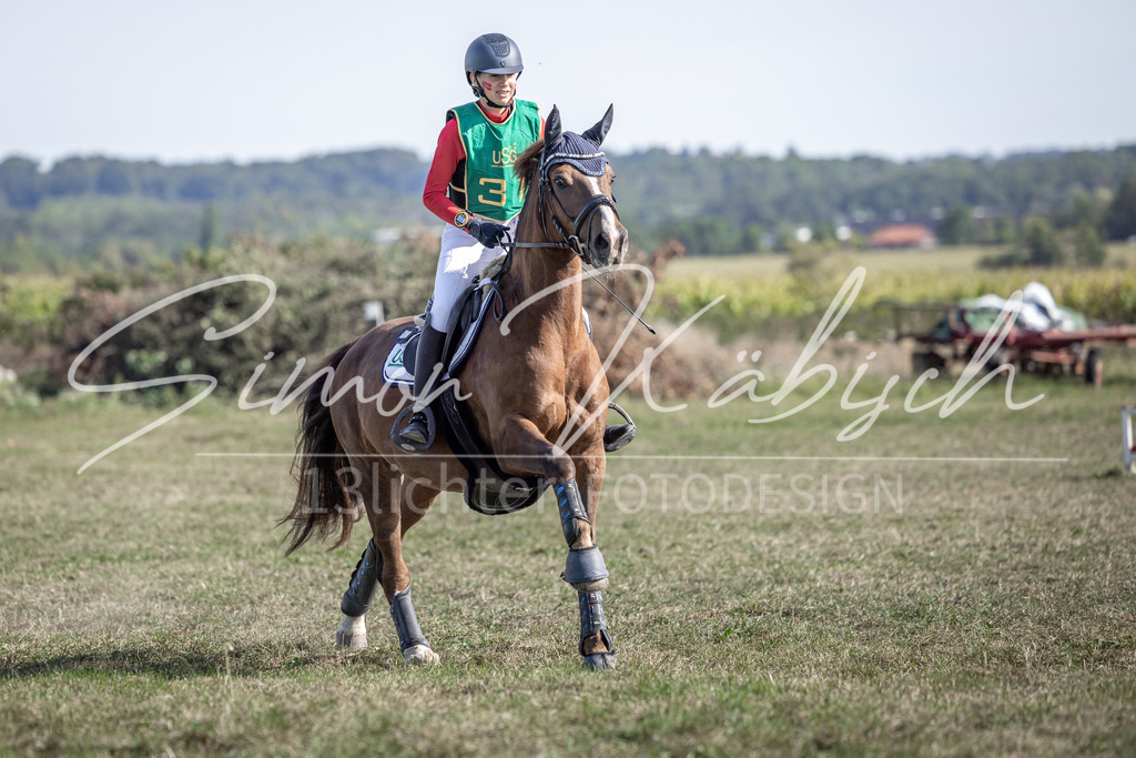 20250907-_3LI3127 | Tierfotografie Pferde, Hunde, Katzen, Haustiere.
Turnierfotografie Reitturniere, Reiten, Springreiten, Dressur in Hanau, dem Main-Kinzig-Kreis und dem Rhein-Main- Gebiet um Frankfurt