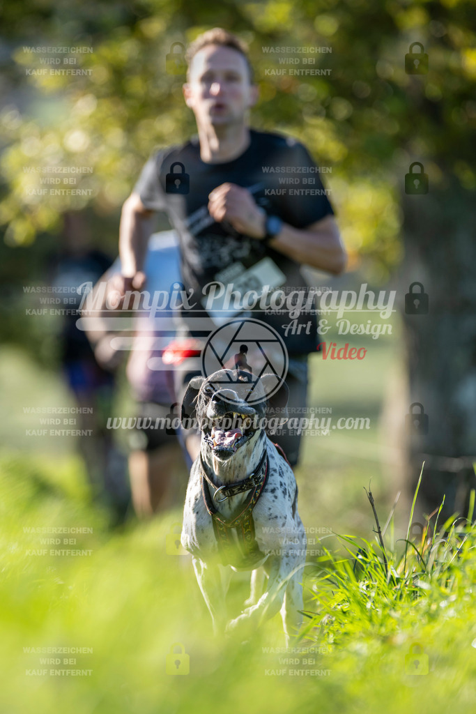 MompixPhotography_20TSB_E3_Run-162 | PayLife