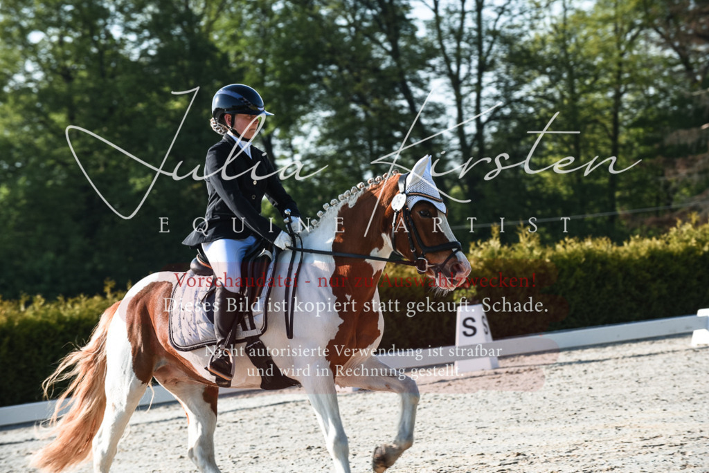 20230518_JK-Röhrsdorf-09-0300 | Pferde- und Turnierfotografie in Westsachsen. Pferdeportraits, Auftragszeichnungen und intuitive Kunst.