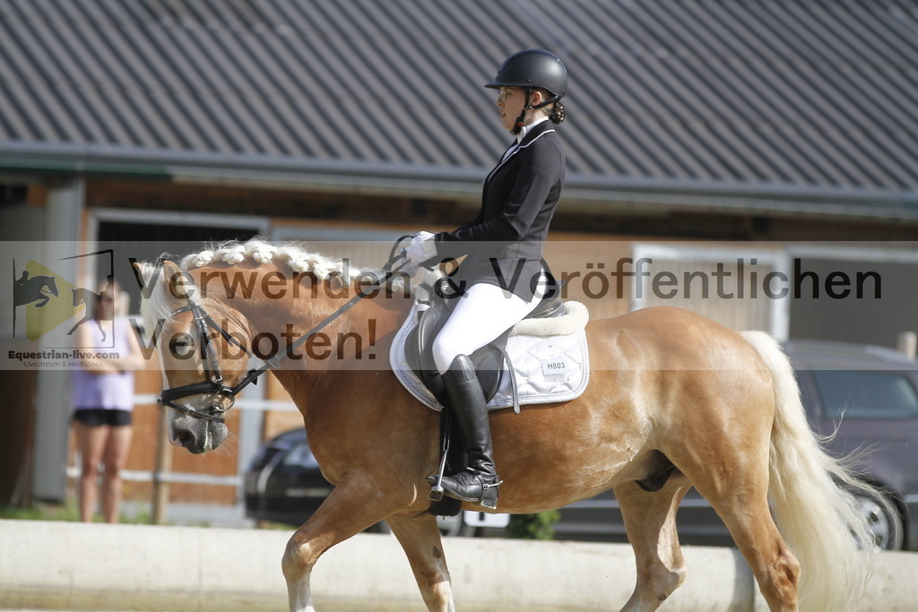 _MG_0327 | equestrian-live-com